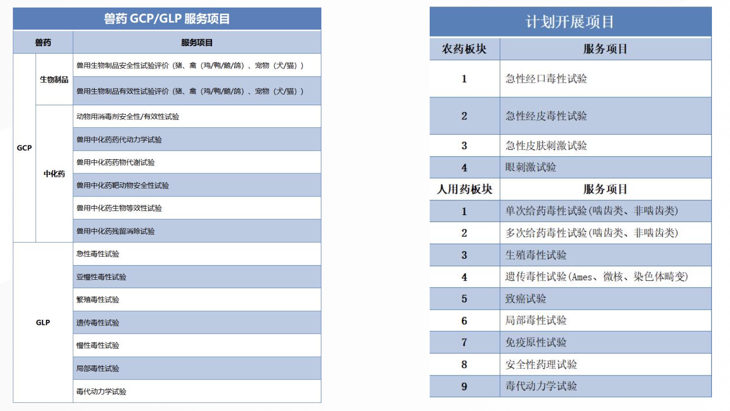 usdt游戏网站生物