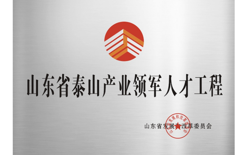 Mount Taishan Industrial Leading Talent Project in Shandong Province